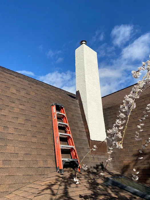 Next Level Roofing Picture 7