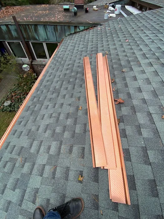 Next Level Roofing Picture 6