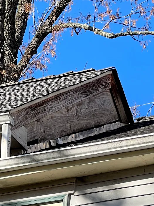 Next Level Roofing Picture 8