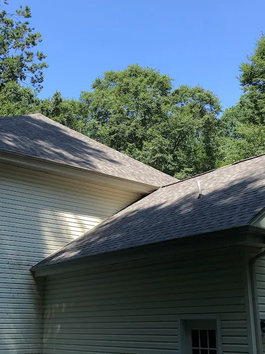 Roofs by Tip Top Picture 2