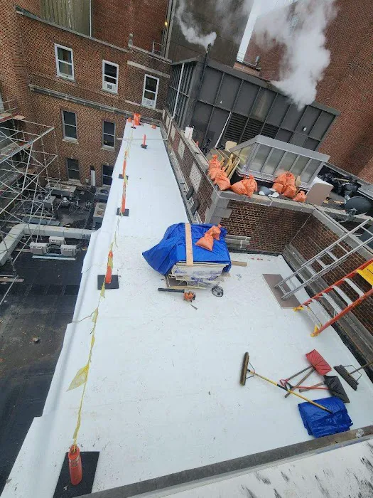Alpine Roofing Picture 3