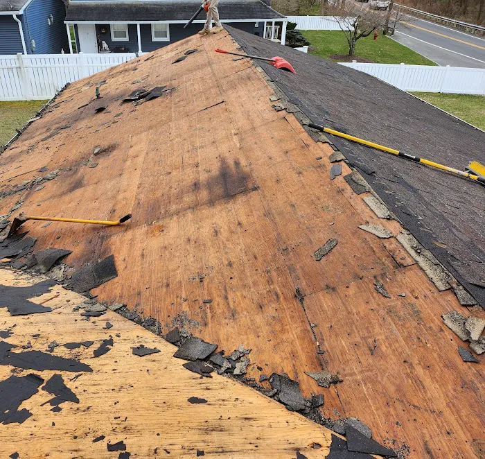 Alpine Roofing Picture 8