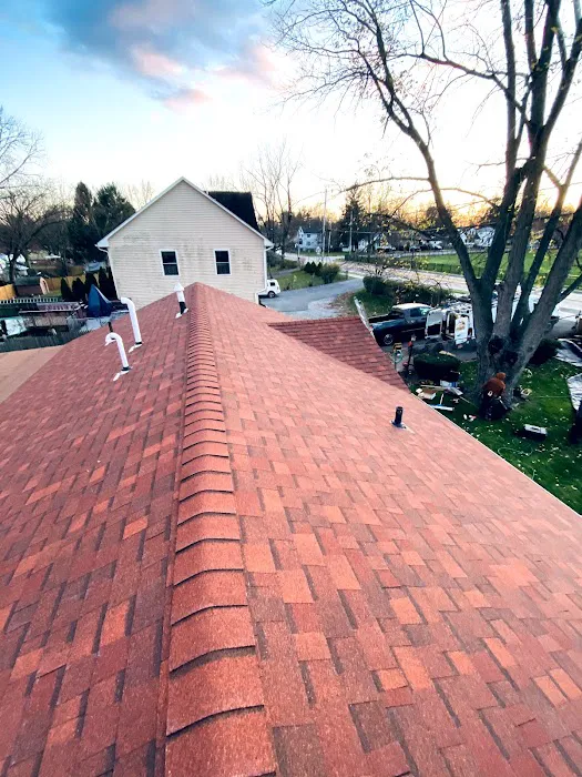 NL Roofing & Carpentry Services Picture 6