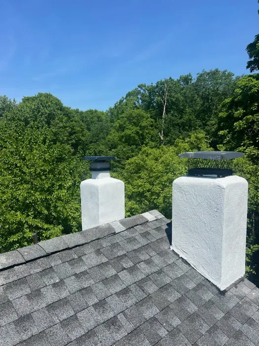 NL Roofing & Carpentry Services Picture 4