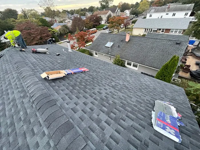 Roofing & Chimney Omega Quality Picture 6