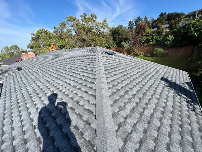 Dalton Roof Repair & Install Picture 3