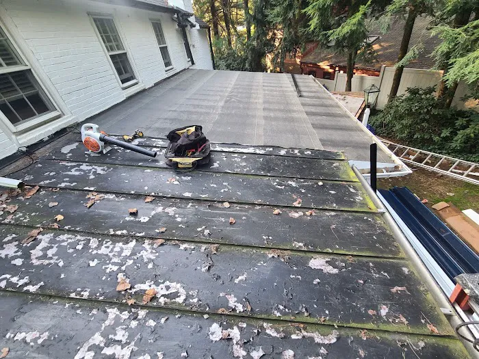 Douglas Roofing Picture 6