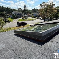 Triple Crown Exteriors ico