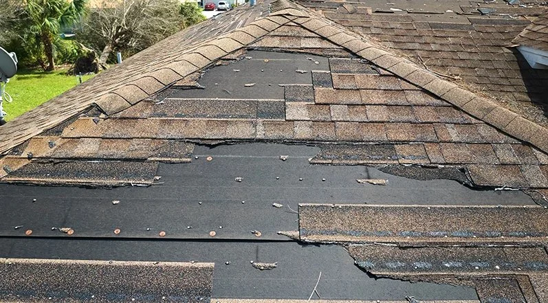 How to Identify and Repair Roof Damage from Tree Sap