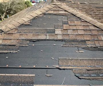How to Identify and Repair Roof Damage from Tree Sap