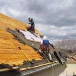 How to Identify and Repair Roof Damage from Long-Term Shade and Moisture