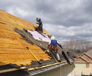 How to Identify and Repair Roof Damage from Long-Term Shade and Moisture