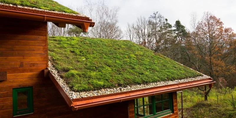 How to Choose the Best Roofing Material for a Building with a Green Roof System