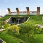 How to Choose a Roofing Material for a Building with a Green Roof System