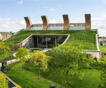 How to Choose a Roofing Material for a Building with a Green Roof System