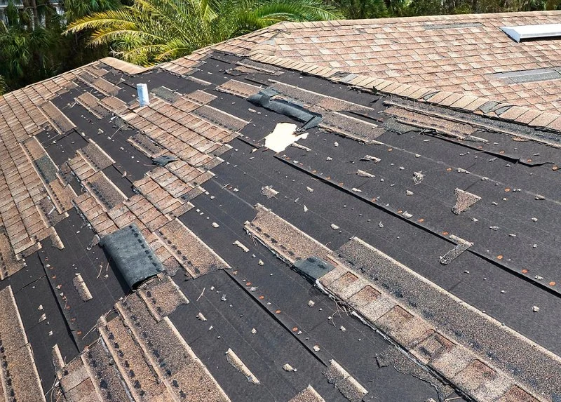 How to Prevent Roof Damage from Wind-Driven Rain