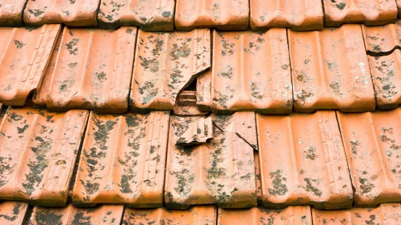 Tile Roof Repair: How to Handle Cracked and Broken Tiles