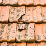 Tile Roof Repair: How to Handle Cracked and Broken Tiles