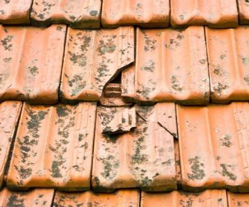 Tile Roof Repair: How to Handle Cracked and Broken Tiles