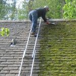 The Cost of Roof Moss Removal and Prevention Treatments: A Complete Guide