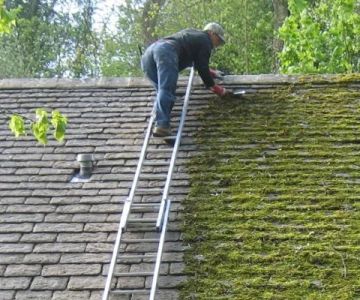 The Cost of Roof Moss Removal and Prevention Treatments: A Complete Guide