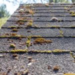 Roof Algae Stain Removal: Why Pressure Washing is a Bad Idea