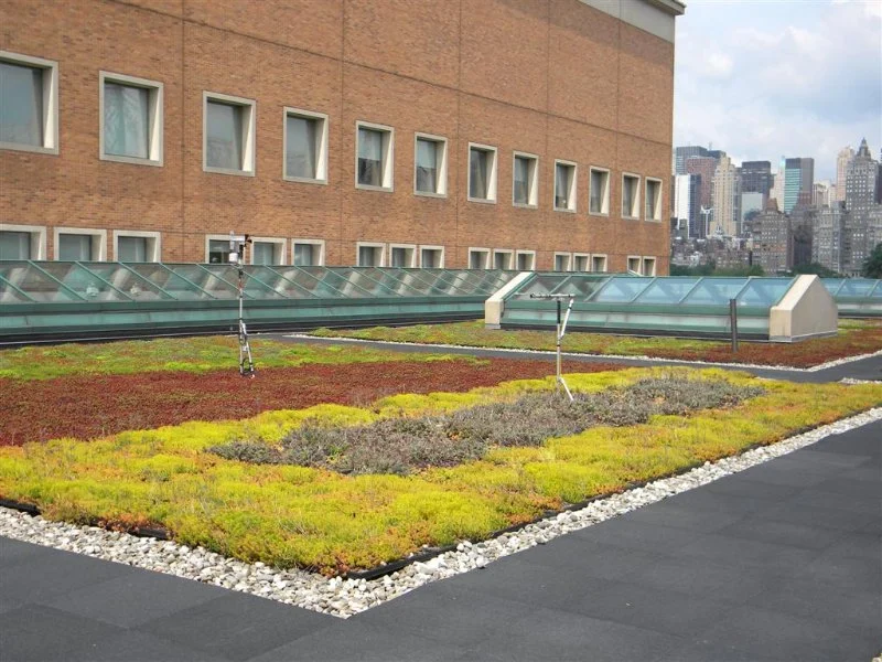 How to Install a Roof Underlayment for a Green Roof System