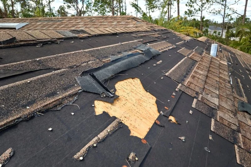 How to Prevent Roof Damage from Lack of Maintenance and Save Money