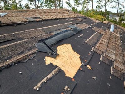How to Prevent Roof Damage from Lack of Maintenance and Save Money