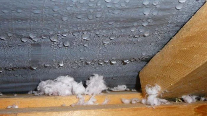 How to Prevent Roof Damage from Condensation in Cold Weather