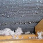 How to Prevent Roof Damage from Condensation in Cold Weather