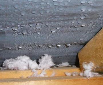 How to Prevent Roof Damage from Condensation in Cold Weather