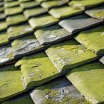 The Cost of a New Roof with Enhanced Algae Resistance Warranty