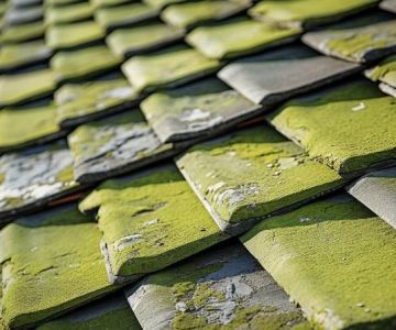 The Cost of a New Roof with Enhanced Algae Resistance Warranty