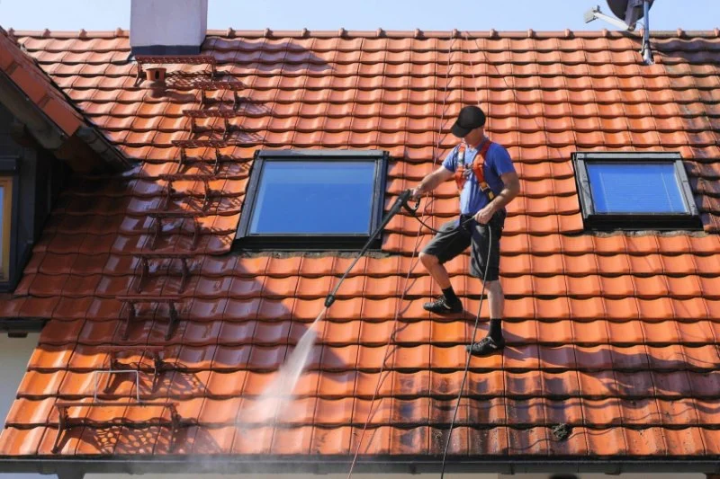 Dealing with Roof Mold and Mildew: Cleaning and Health Considerations