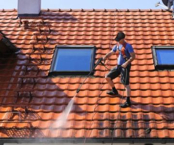 Dealing with Roof Mold and Mildew: Cleaning and Health Considerations