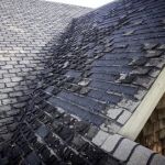 Signs You Need a Roof Replacement: Age, Leaks, Curling Shingles, and More