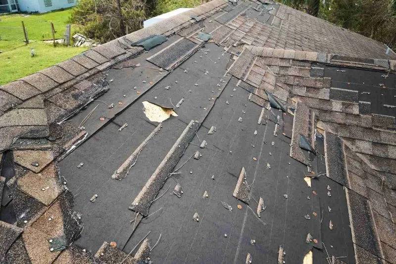 Roof Repair vs Roof Restoration | Key Differences Explained | BeachCo Roofing Hub