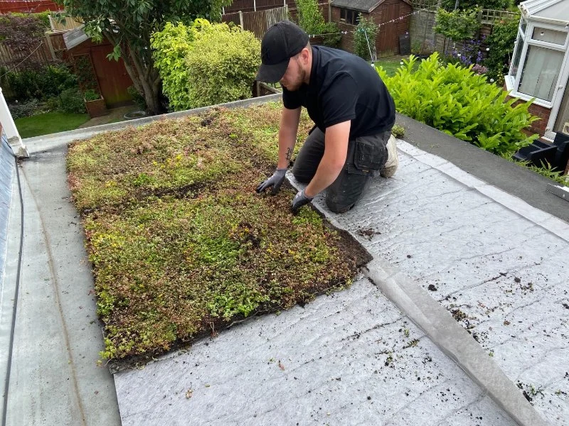 The Pros and Cons of Green Roofs or Living Roofs: A Comprehensive Guide