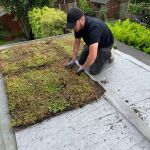 The Pros and Cons of Green Roofs or Living Roofs: A Comprehensive Guide