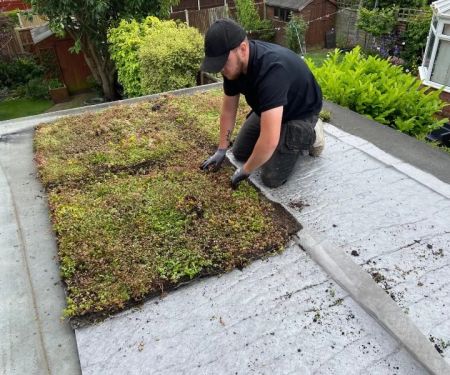 The Pros and Cons of Green Roofs or Living Roofs: A Comprehensive Guide