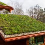 The Pros and Cons of Green Roofs or Living Roofs