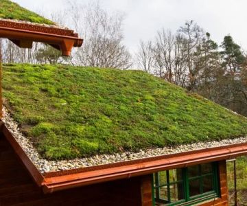 The Pros and Cons of Green Roofs or Living Roofs