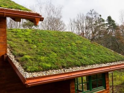 The Pros and Cons of Green Roofs or Living Roofs