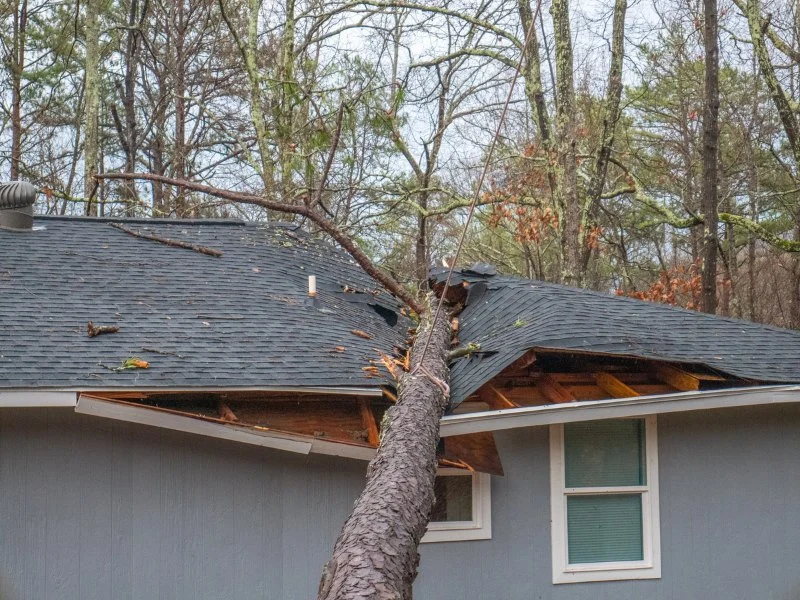 How to Handle Roof Damage Caused by Fallen Tree Branches