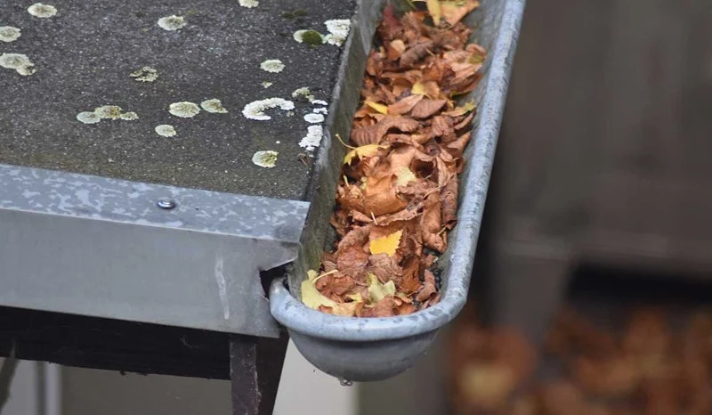 The Role of Gutters in Roof Health: How Clogged Gutters Cause Roof Damage
