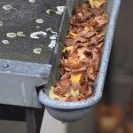 The Role of Gutters in Roof Health: How Clogged Gutters Cause Roof Damage