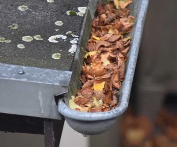 The Role of Gutters in Roof Health: How Clogged Gutters Cause Roof Damage