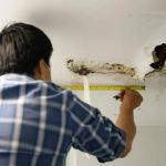 How to Repair a Roof Leak in a Building with a Copper Roof: Step-by-Step Guide