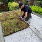 The Pros and Cons of Green Roofs or Living Roofs: Are They Worth the Investment?